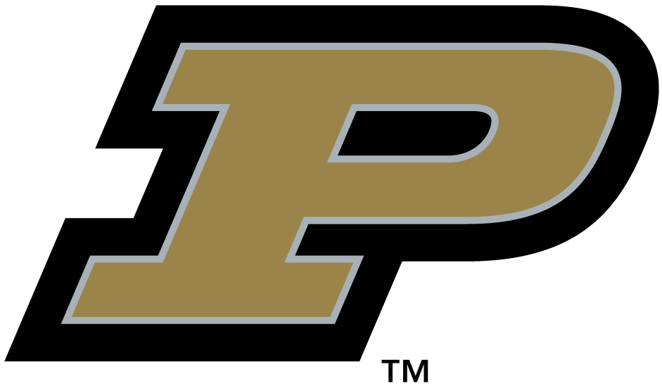 Purdue Boilermakers 2003-2011 Primary Logo diy iron on heat transfer...